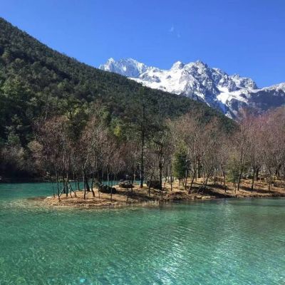 Dj筱布-国粤语ProgHouse音乐荷塘月色流行专辑串烧