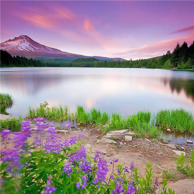 春哥 - 战无不胜(吴川Dj幻影 Electro Rmx)