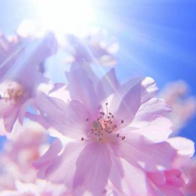 Bass down low(Lin.Q Edit)