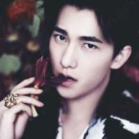 Check This Drugs From Amsterdam (BONKA Mashup)