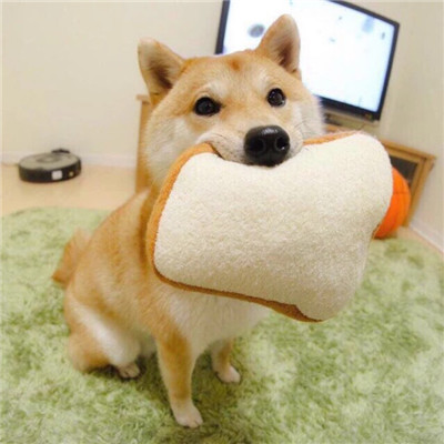 Congratulations Auxolo Remix